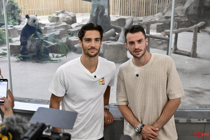 冠军和奖杯 冠军和奖杯