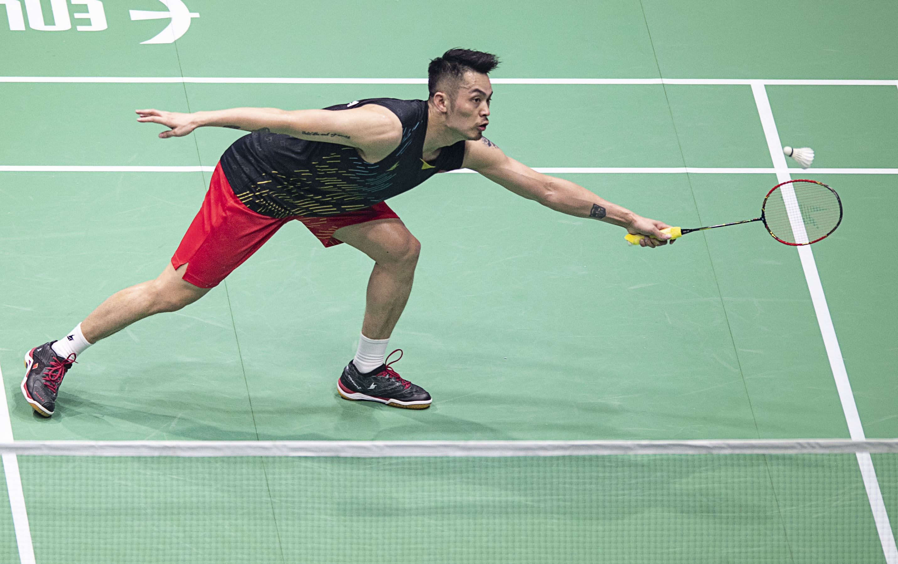 的转会都会 的转会都会