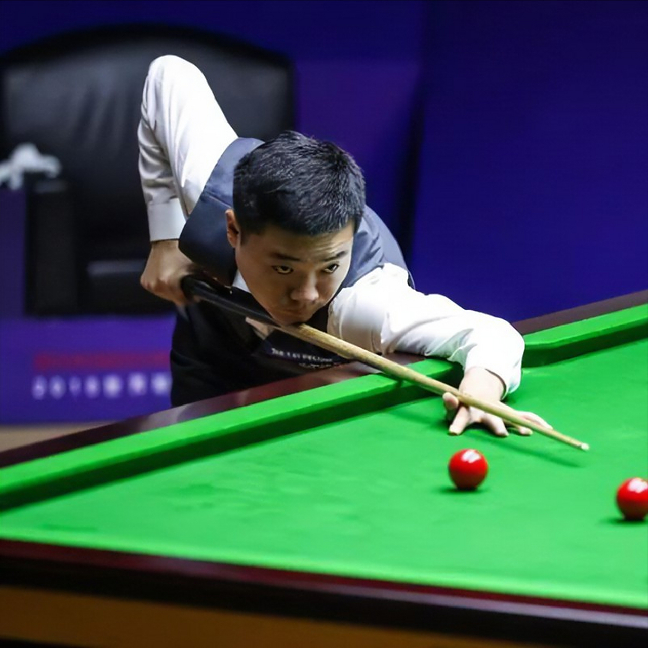 是因为新年 是因为新年